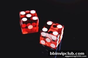 AG真人 bbinvipclub